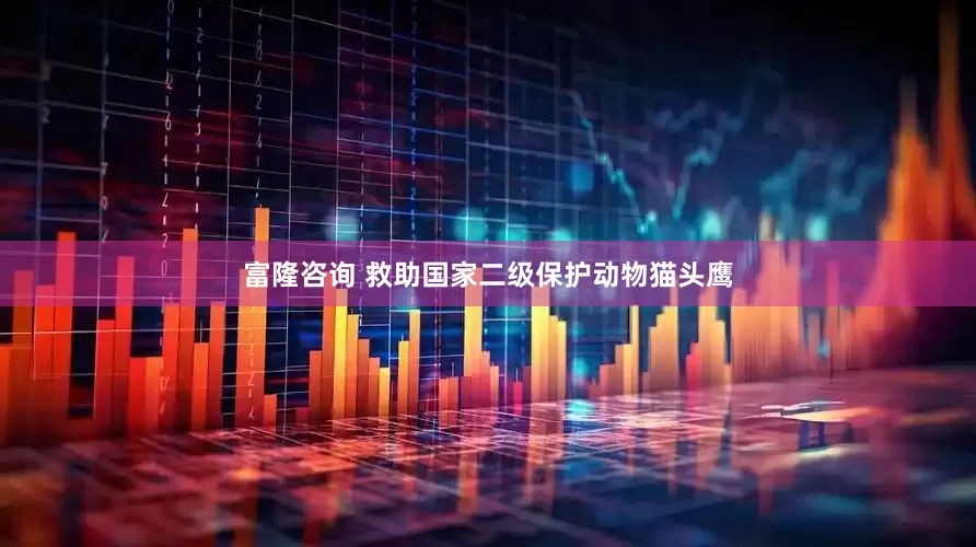 富隆咨询 救助国家二级保护动物猫头鹰
