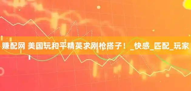 赚配网 美国玩和平精英求刚枪搭子！_快感_匹配_玩家
