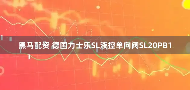 黑马配资 德国力士乐SL液控单向阀SL20PB1